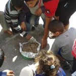 وجبة الأطفال تحتوى فئران ميتة فى غزة