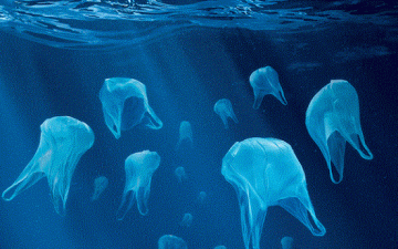 الاتحاد الأوروبي يحد من استخدام الأكياس البلاستيكية