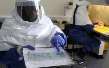 تراجع انتشار “إيبولا” فى بؤرة انتشاره بسيراليون