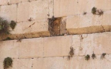 إغلاق قسما من حائط البراق بالقدس بعد سقوط حجر كبير يزن 100 كجم