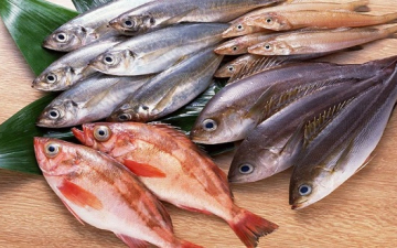 تعرف على أسعار الأسماك والرنجة والفسيخ بمنافذ المجمعات الاستهلاكية