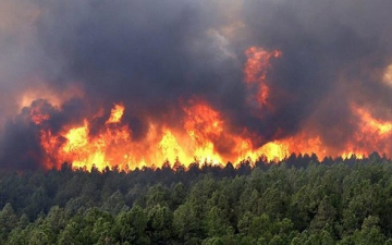 ارتفاع قتلى حرائق الغابات بالجزائر إلى 42 شخصاً بينهم 25 جندياً