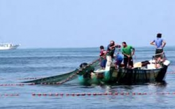 ننشر تقريراللجنة السداسية المشكلة لبحث تضرر صيادي دسوق بسبب نفوق الأسماك