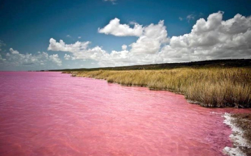 صور: «البحيرة الوردية».. لغز محير عجز العلم عن تفسيره