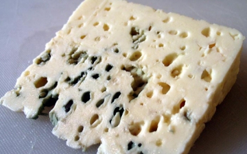 سر اللون الأزرق في الجبن الريكفورد الفرنسي