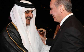 قطر وتركيا تخططان لإفشال المبادرة المصرية لحل أزمة غزة