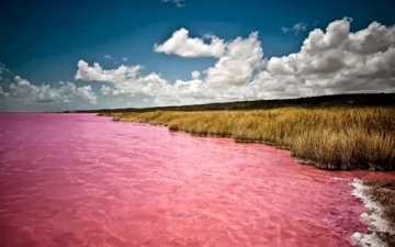 شاهد بالصور : أغرب بحيرة وردية زاهية اللون بالعالم !!