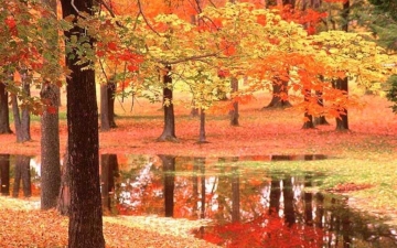 بالصور .. شاهد واستمتع بجمال فصل الخريف .. المفترى عليه