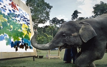 صدق أو لا تصدق .. أفيال ترسم لوحات فنية !!