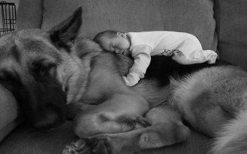 بالصور .. علاقة حب بين الأطفال و الكلاب