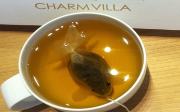 لغز السمكة الذهبية التى تسبح في أكواب الشاي في تايوان ؟