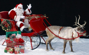 اكتشف.. أصل حكاية بابا نويل وشجرة الكريسماس