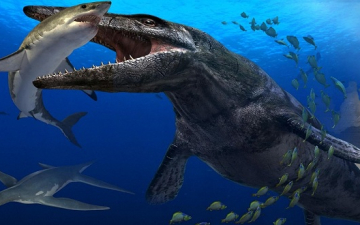 اكتشاف ديناصور بحرى نادر فى اسكتلندا عاش قبل 150 مليون سنة