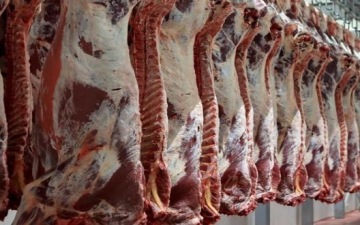 التموين : طرح 30 % زيادة من اللحوم والدواجن استعدادًا لشهر رمضان