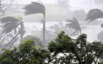 بالفيديو.. مذيعة أمريكية تغطى إعصار إرما تتلقى صدمة موجعة