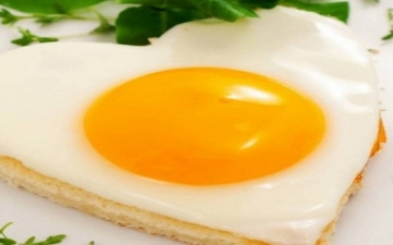 دراسة حديثة: تناول بيضة واحدة يومياً يقلل خطر الإصابة بمرض السكرى