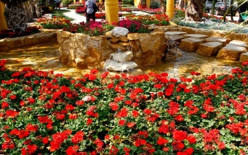 افتتاح معرض زهور الربيع فى نسخته الـ 88 بحديقة الورمان بمشاركة 200 عارض
