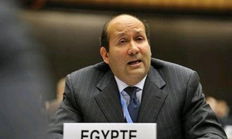 الخارجية : تقرير العفو الدولية “غير دقيق ويستخف بالمصريين”