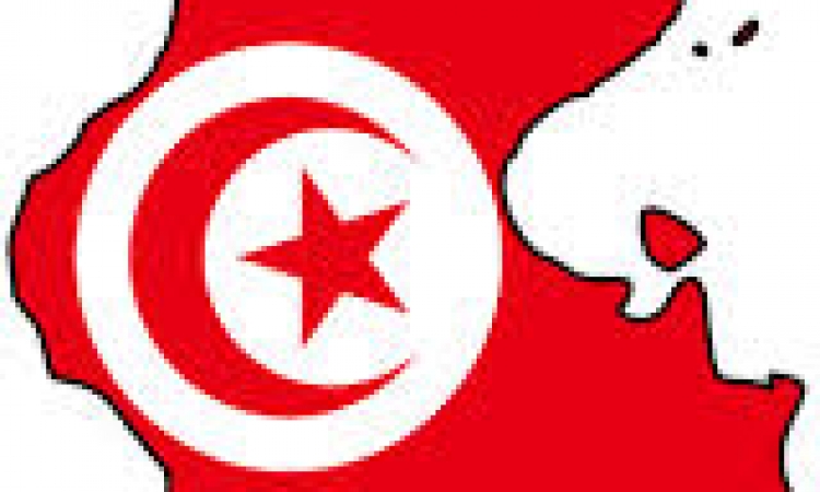 الحراك الدبلوماسي التونسي والأزمة الإقتصادية