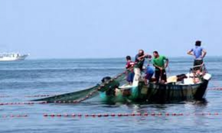 ننشر تقريراللجنة السداسية المشكلة لبحث تضرر صيادي دسوق بسبب نفوق الأسماك
