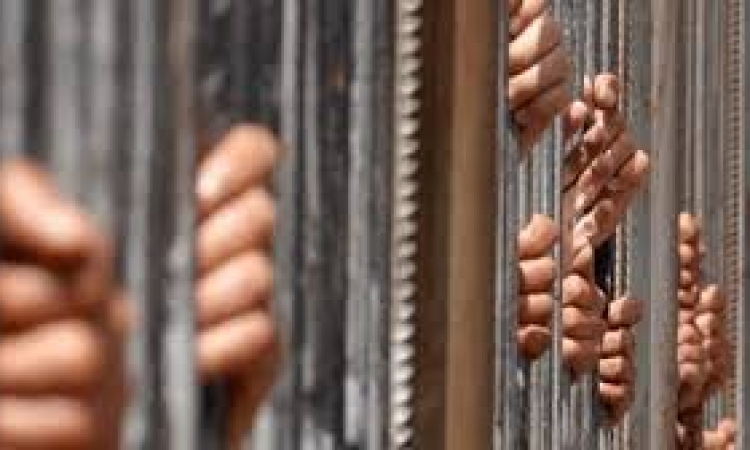 حبس 31 من ألتراس ثورجي عامين و 50 ألف غرامة