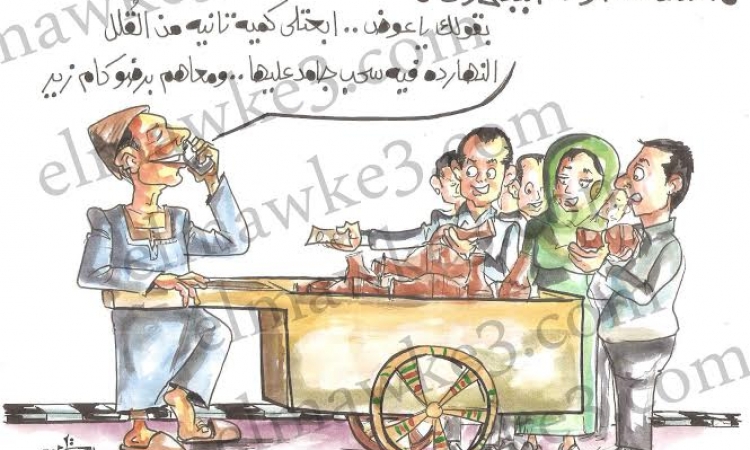 كاريكاتير ….استقالت حكومة الببلاوى