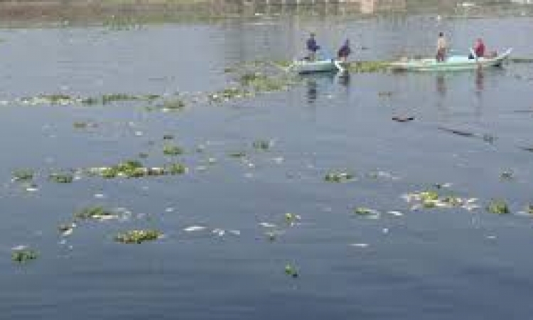 الأربعاء..”النيل لإعلام دمياط” يبحث مخاطر الأقفاص السمكية على مياه النيل