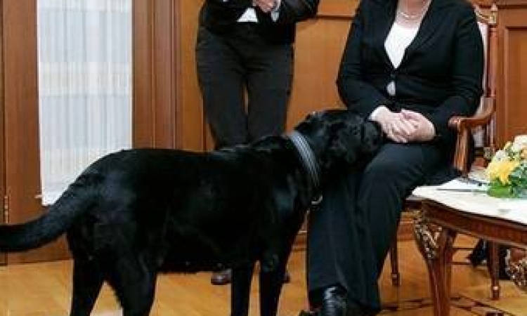 بالصور…. بوتين يهدد ميركل بكلبه ويجعلها ترتبك