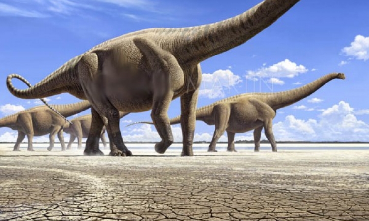 سى.إن.إن: اكتشاف حفرية ديناصور بمصر يغير مفاهيم مسار تطور الديناصورات