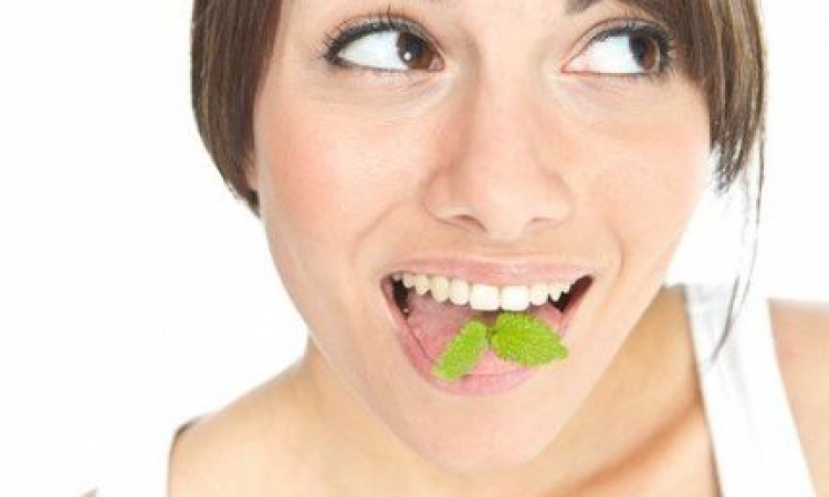 صدق أو لا تصدق .. النعناع والفاكهة يسببان رائحة الفم الكريهة