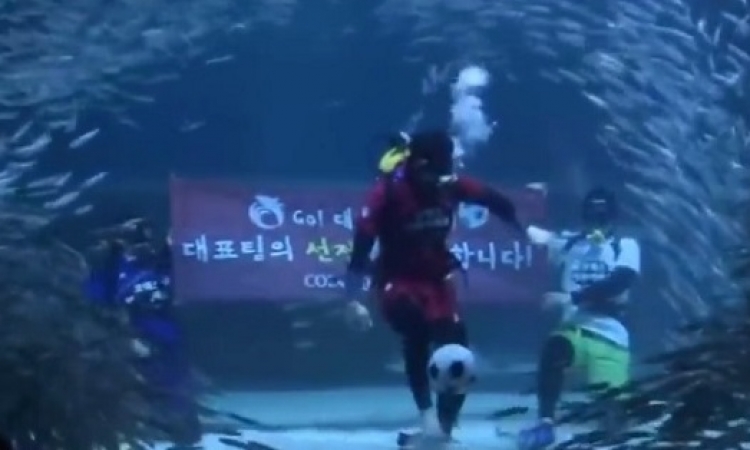 بالفيديو .. حمى مونديال البرازيل تحت الماء في كوريا الجنوبية !!
