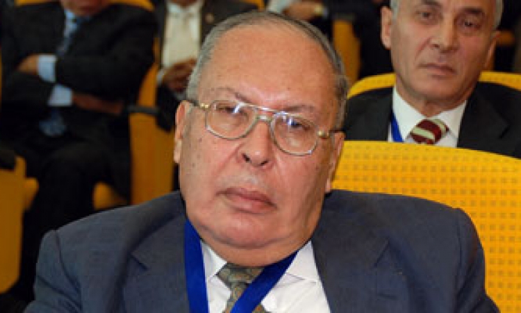مساعد وزير الخارجية الأسبق: يجب أن تهتم مصر بإفريقيا حفاظا على الأمن القومي