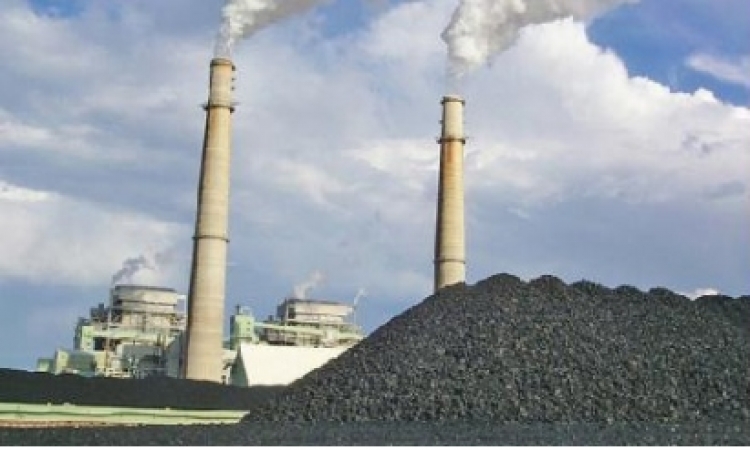 أستاذ بجامعة «فرانكفورت»: استخدام الفحم في صناعة الإسمنت سيؤدي إلى انتشار السرطان