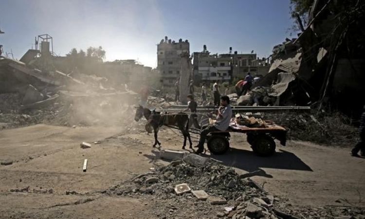 الجيش الإسرائيلى: تم استهدافنا بـ«حمار» مفخخ فى ‫‏غزة‬