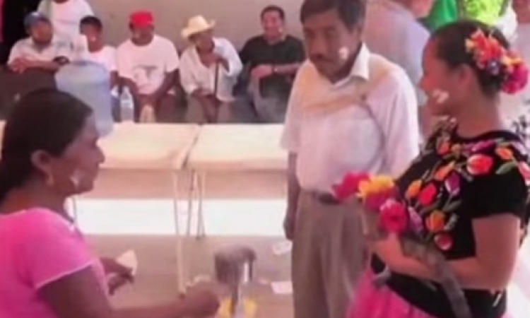 بالفيديو.. مكسيكي يتزوج من أنثى تمساح