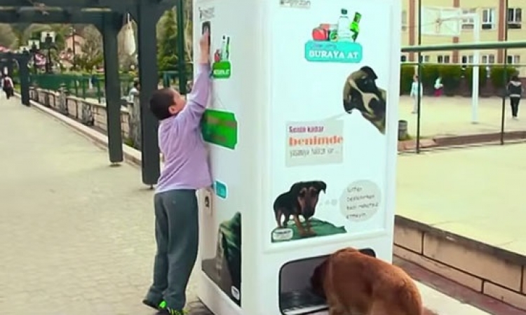 بالصور .. آلة جديدة لإطعام الكلاب الضالة بتركيا