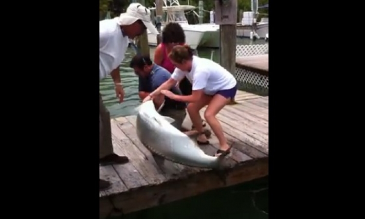 بالفيديو .. سمكة شرسة تلتهم يد رجل يقوم بإطعامها !!