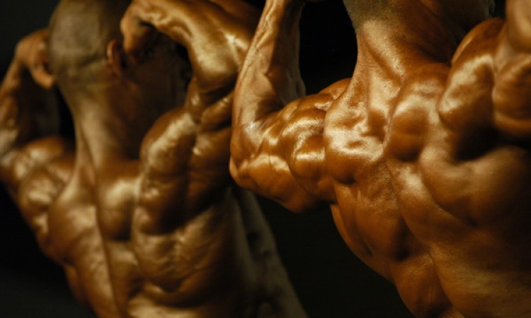دراسة أمريكية تحذر من استخدام هرمونات النمو لبناء العضلات