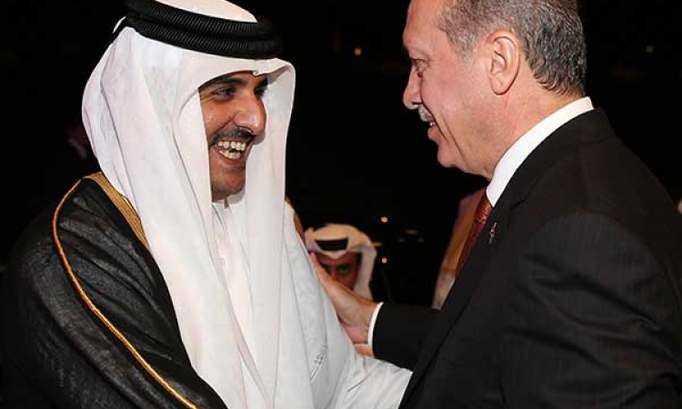 قطر وتركيا تخططان لإفشال المبادرة المصرية لحل أزمة غزة
