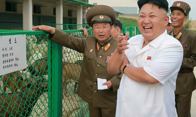 بالصور.. جنرال كوريا الشمالية يزور «معيز الجيش»