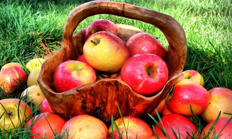 التفاح .. يقي من الجلطات وأمراض القلب والسرطان
