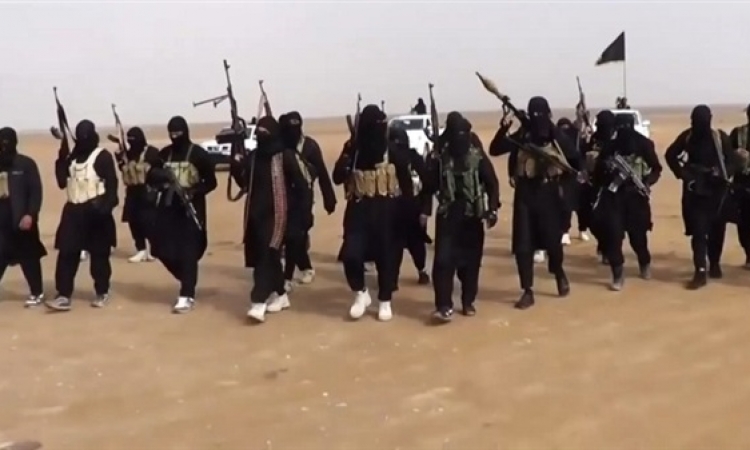 صدق أو لا تصدق .. داعش تكشف عن أول “حمار مجند ” لديها