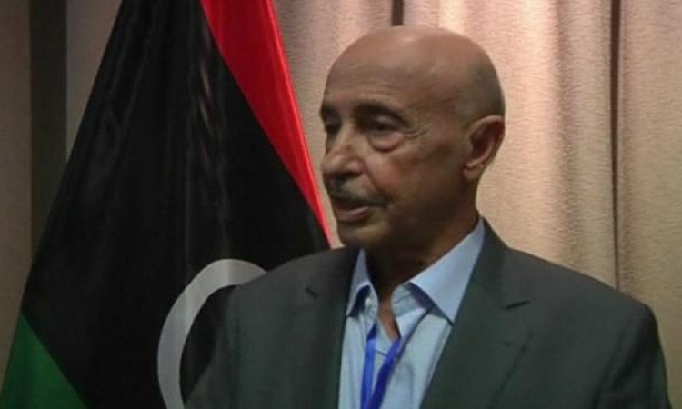 ليبيا تطالب المجتمع الدولي بإمدادها بأسلحة لمواجهة الإرهاب