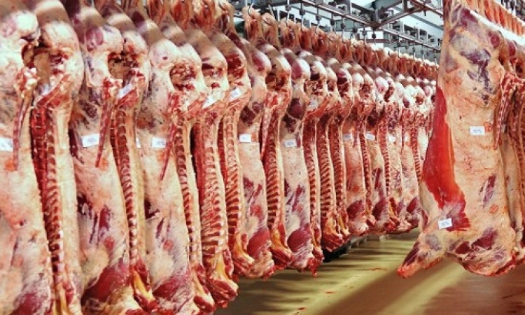 التموين : طرح كميات كبيرة من اللحوم بسعر 85 جنيها للكيلو بمنافذ المجمعات