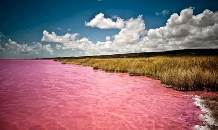 شاهد بالصور : أغرب بحيرة وردية زاهية اللون بالعالم !!