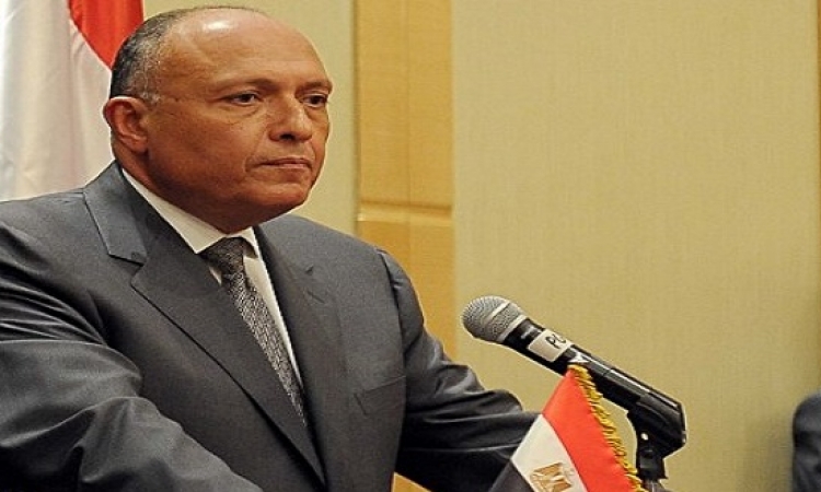 وزير الخارجية المصرية : الاولوية لمواجهة قضية داعش
