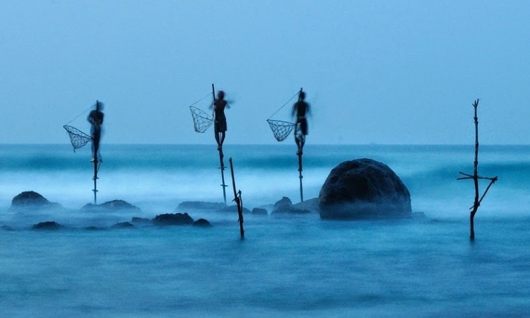 بالصور .. أغرب عادات الصيادين .. الصيد على العصى فى سريلانكا