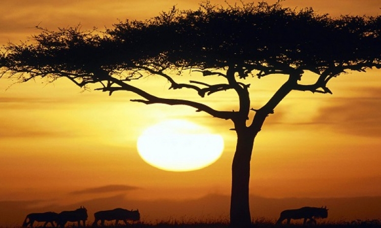 بالصور.. تعرف على جمال الطبيعة فى أفريقيا