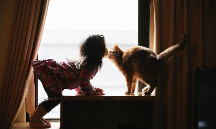 بالصور .. لحظات دافئة بين الأطفال والقطط