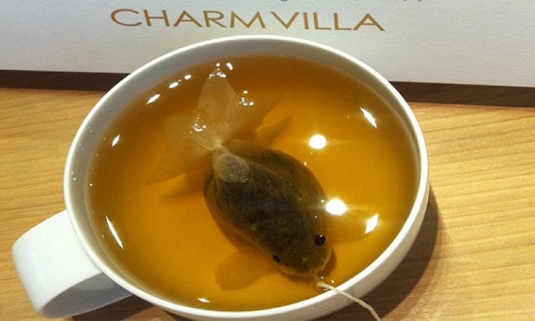 لغز السمكة الذهبية التى تسبح في أكواب الشاي في تايوان ؟